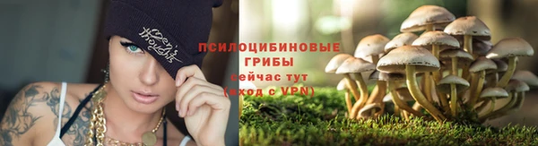 ALPHA PVP Балабаново