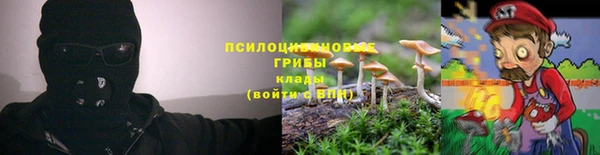 дмт Баксан